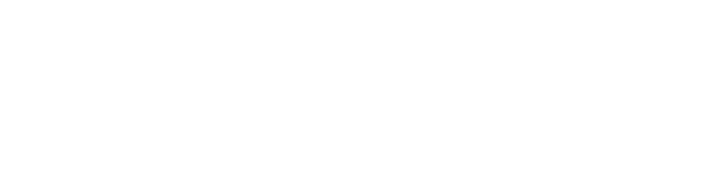 10Web logo