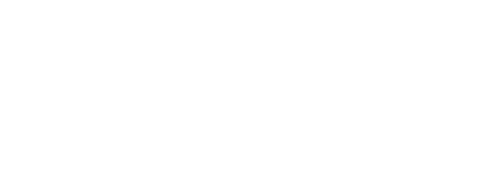 Arion Motors logo