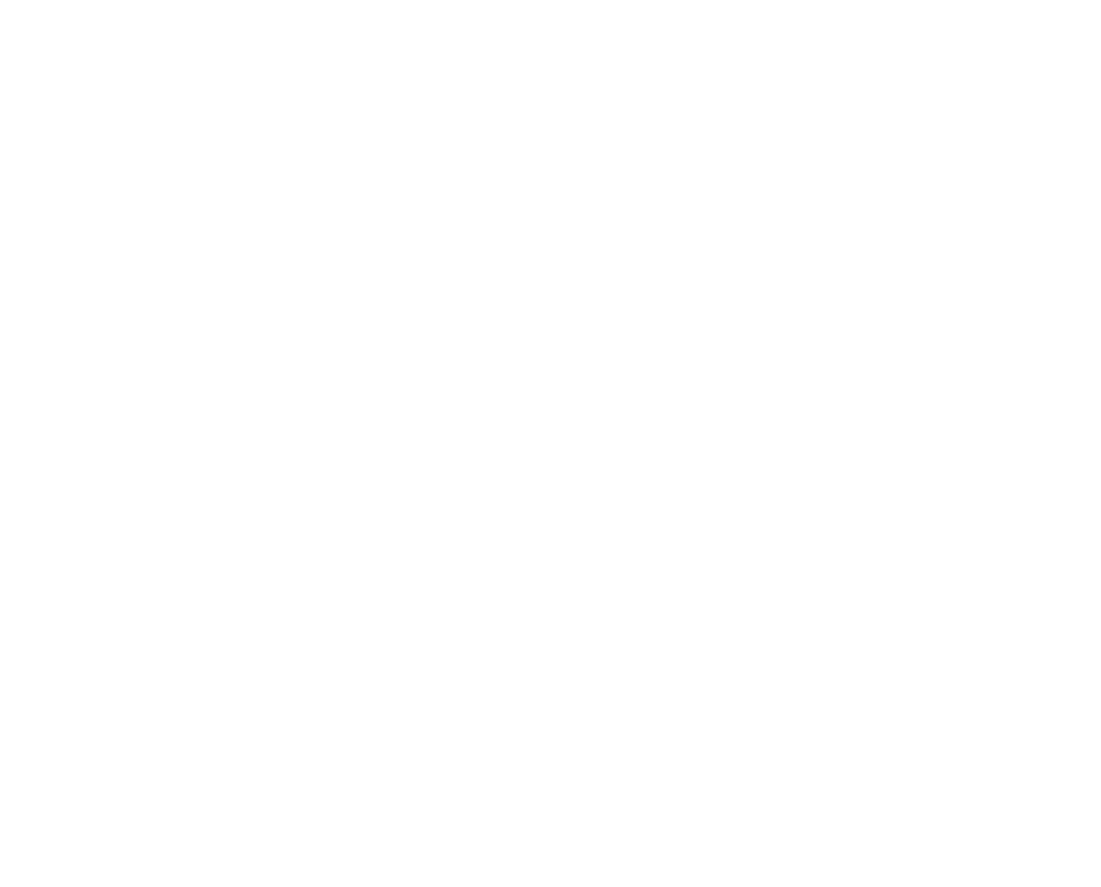 PMI logo